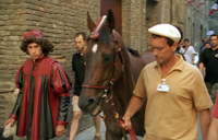 Il Palio - Das Rennen von Siena