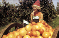 Jaffa - The Orange's Clockwork