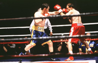 Price of Glory