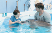 Mein Freund, der Delfin