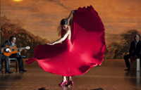 Flamenco, Flamenco